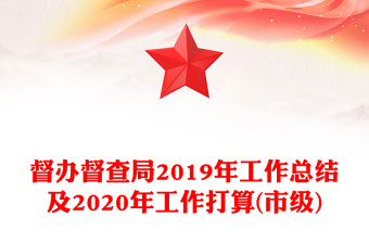 督辦督查局2019年工作總結(jié)及2020年工作打算(市級(jí))
