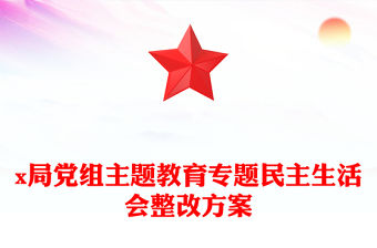 x局黨組主題教育專題民主生活會整改方案