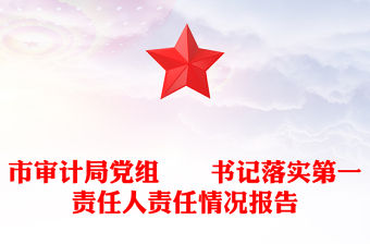 市審計(jì)局黨組??書記落實(shí)第一責(zé)任人責(zé)任情況報(bào)告