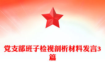 黨支部班子檢視剖析材料發言3篇