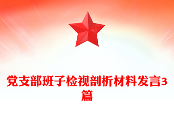 黨支部班子檢視剖析材料發(fā)言3篇