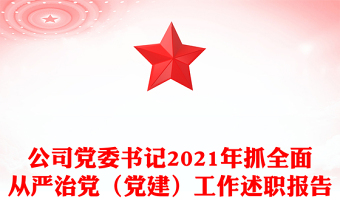 公司黨委書記2021年抓全面從嚴(yán)治黨（黨建）工作述職報(bào)告