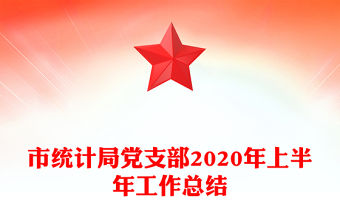 市統計局黨支部2020年上半年工作總結