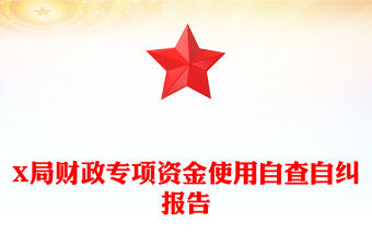 X局財政專項資金使用自查自糾報告