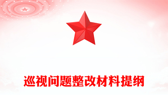 巡視問題整改材料提綱