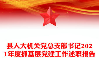 縣人大機關黨總支部書記2021年度抓基層黨建工作述職報告