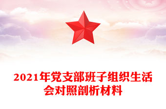 2021年黨支部班子組織生活會對照剖析材料