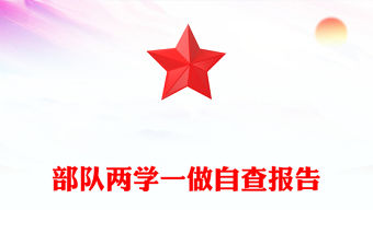 部隊兩學一做自查報告