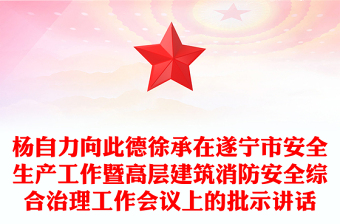 楊自力向此德徐承在遂寧市安全生產(chǎn)工作暨高層建筑消防安全綜合治理工作會(huì)議上的批示講話