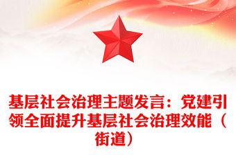 基層社會治理主題發言：黨建引領全面提升基層社會治理效能（街道）