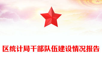 區(qū)統(tǒng)計(jì)局干部隊(duì)伍建設(shè)情況報(bào)告