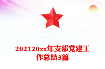 202120xx年支部黨建工作總結3篇