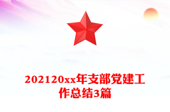 202120xx年支部黨建工作總結(jié)3篇