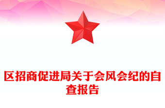 區(qū)招商促進(jìn)局關(guān)于會(huì)風(fēng)會(huì)紀(jì)的自查報(bào)告