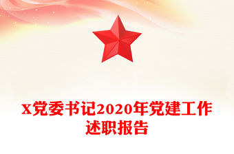 X黨委書記2020年黨建工作述職報告