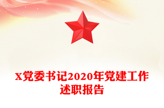 X黨委書記2020年黨建工作述職報告