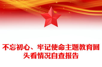 不忘初心、牢記使命主題教育回頭看情況自查報告