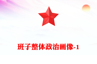 班子整體政治畫像-1