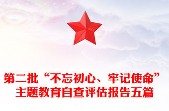 第二批“不忘初心、牢記使命”主題教育自查評估報告五篇