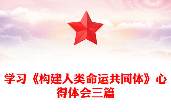 學習《構建人類命運共同體》心得體會三篇