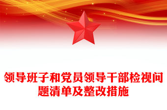 領導班子和黨員領導干部檢視問題清單及整改措施