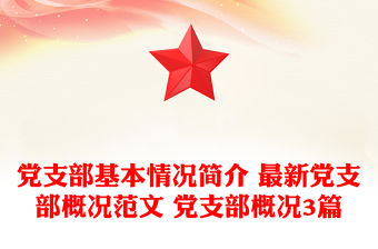 黨支部基本情況簡介 最新黨支部概況范文 黨支部概況3篇