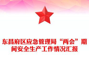 東昌府區應急管理局“兩會”期間安全生產工作情況匯報