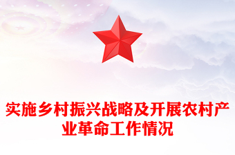 實(shí)施鄉(xiāng)村振興戰(zhàn)略及開展農(nóng)村產(chǎn)業(yè)革命工作情況