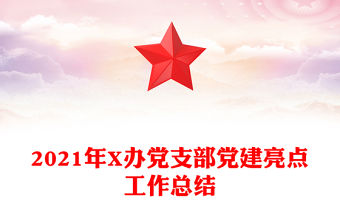 2021年X辦黨支部黨建亮點工作總結