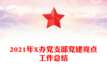 2021年X辦黨支部黨建亮點工作總結(jié)