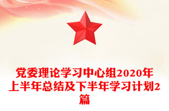 黨委理論學習中心組2020年上半年總結及下半年學習計劃2篇