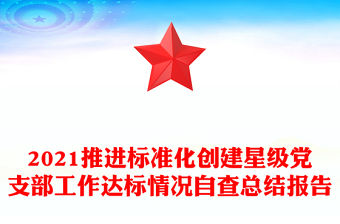 2021推進(jìn)標(biāo)準(zhǔn)化創(chuàng)建星級黨支部工作達(dá)標(biāo)情況自查總結(jié)報告