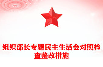 組織部長專題民主生活會對照檢查整改措施