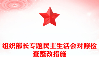 組織部長專題民主生活會對照檢查整改措施