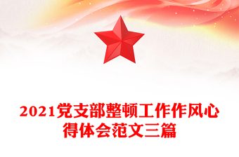 2021黨支部整頓工作作風心得體會范文三篇