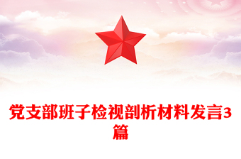 黨支部班子檢視剖析材料發(fā)言3篇