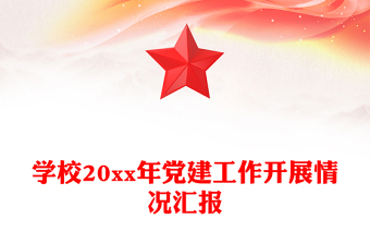 學(xué)校20xx年黨建工作開展情況匯報(bào)