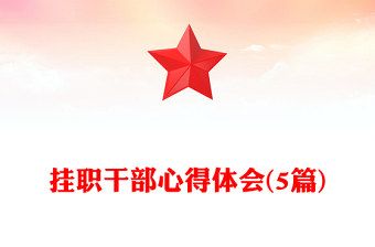 掛職干部心得體會(huì)(5篇)