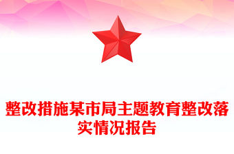 整改措施某市局主題教育整改落實情況報告