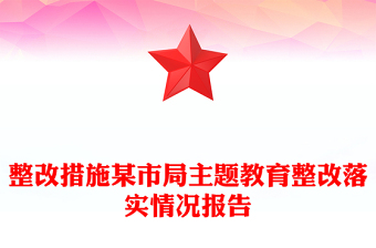 整改措施某市局主題教育整改落實情況報告