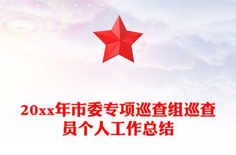20xx年市委專項巡查組巡查員個人工作總結(jié)