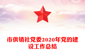 市供銷社黨委2020年黨的建設(shè)工作總結(jié)