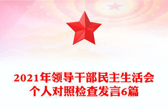 2021年領導干部民主生活會個人對照檢查發言6篇