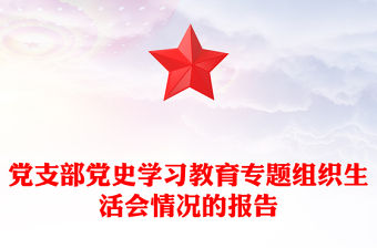 黨支部黨史學習教育專題組織生活會情況的報告