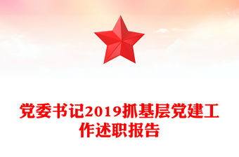 黨委書記2019抓基層黨建工作述職報告