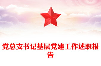黨總支書記基層黨建工作述職報告