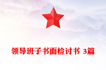 領(lǐng)導(dǎo)班子書面檢討書 3篇