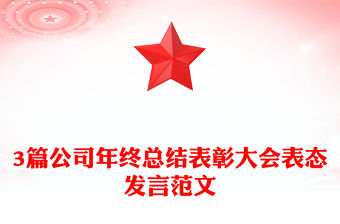 3篇公司年終總結表彰大會表態發言范文