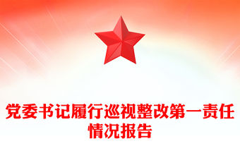 黨委書記履行巡視整改第一責任情況報告