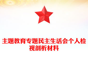 主題教育專題民主生活會個人檢視剖析材料